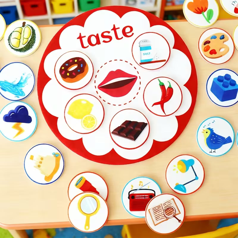 Sensory Recognition Felt Teaching Tools