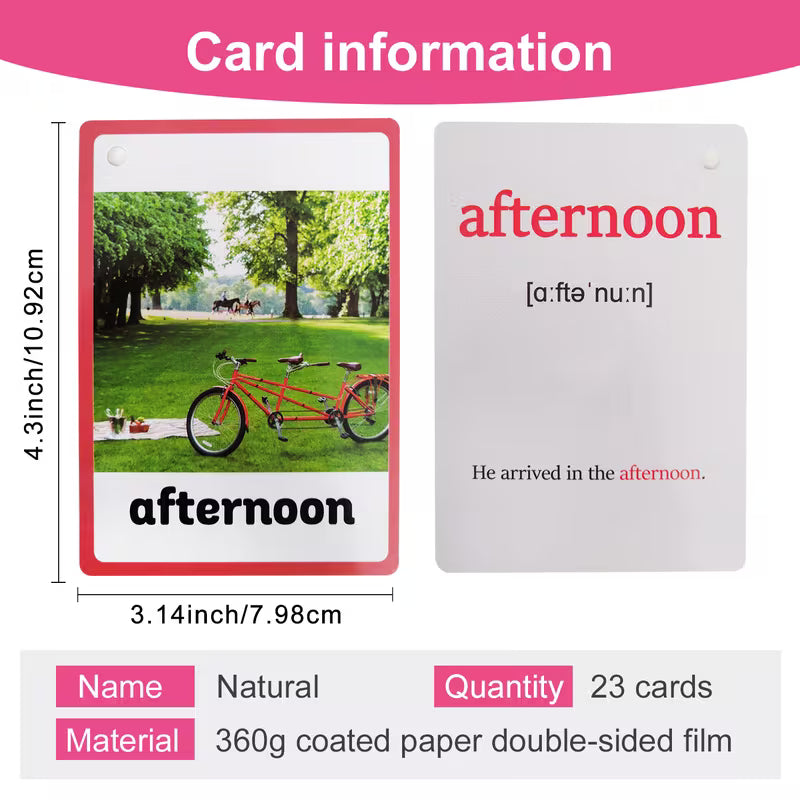 LACHILLY 23-Card Nature Vocabulary Cards with Real Photos