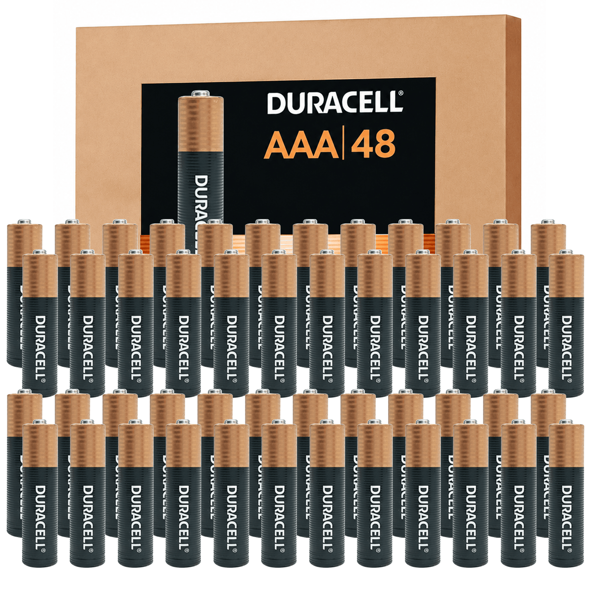 48/24-Piece Duracell Coppertop AAA Alkaline Batteries with POWER BOOST