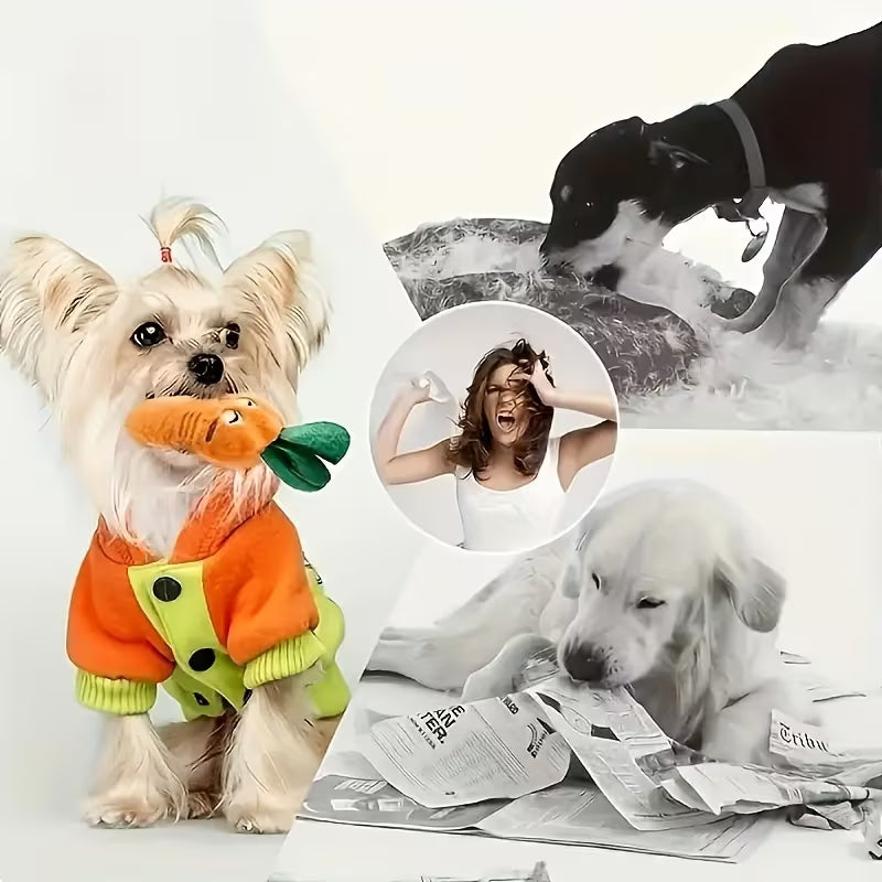 5/10 Random Style Dog Squeak Toy Set Plush