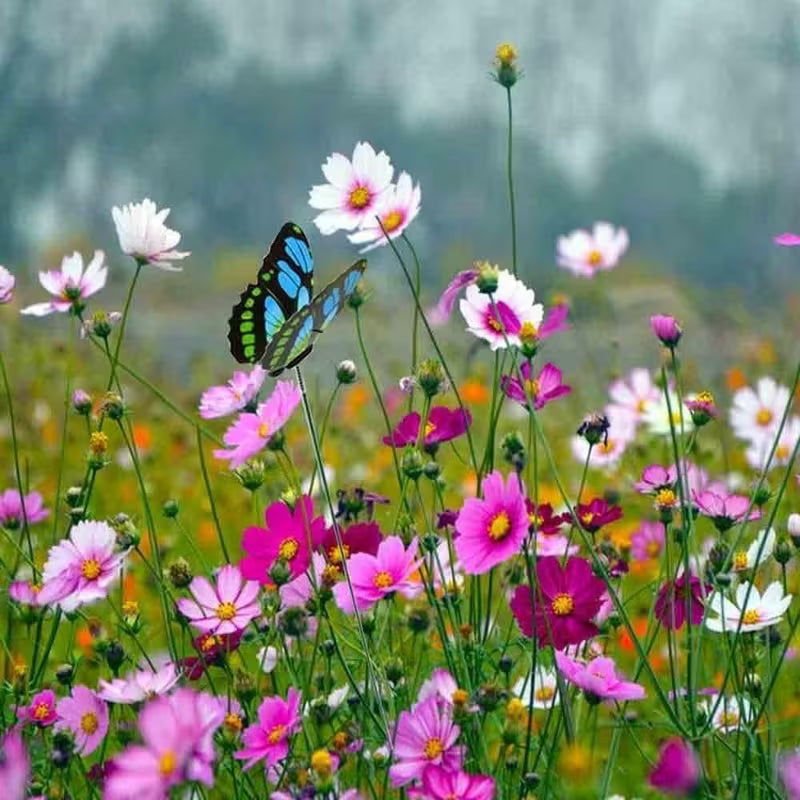【3D】 20pcs/Set (10 Butterflies + 10 Rods) Random Colour Premium Butterfly Decorative Stakes