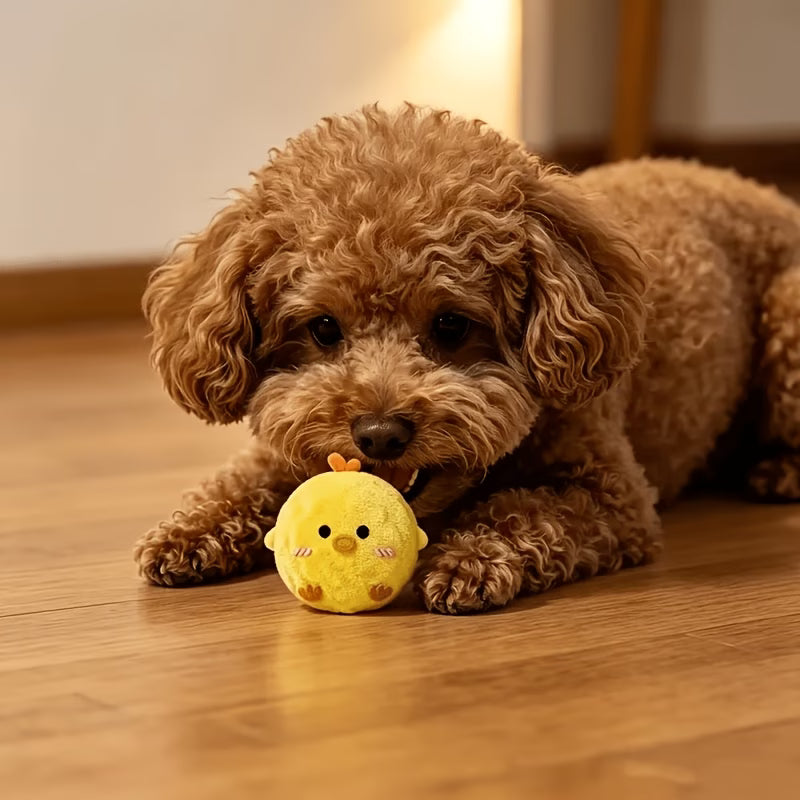 Yellow Chick Pet Interactive Bouncing Squeaky Toy Ball, Dog, Yellow