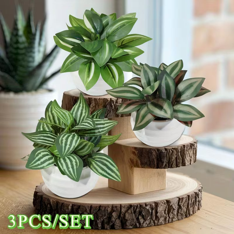 Per Set Artificial Potted Plants Fake Leaf Fittonia, Green