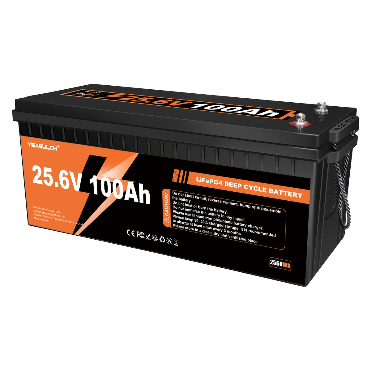 12V 314Ah/100Ah 24V