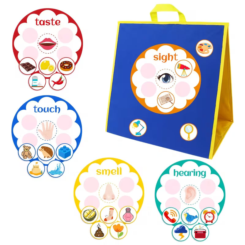 Sensory Recognition Felt Teaching Tools