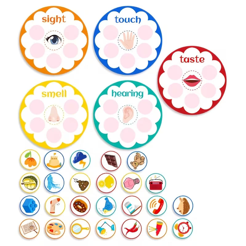 Sensory Recognition Felt Teaching Tools