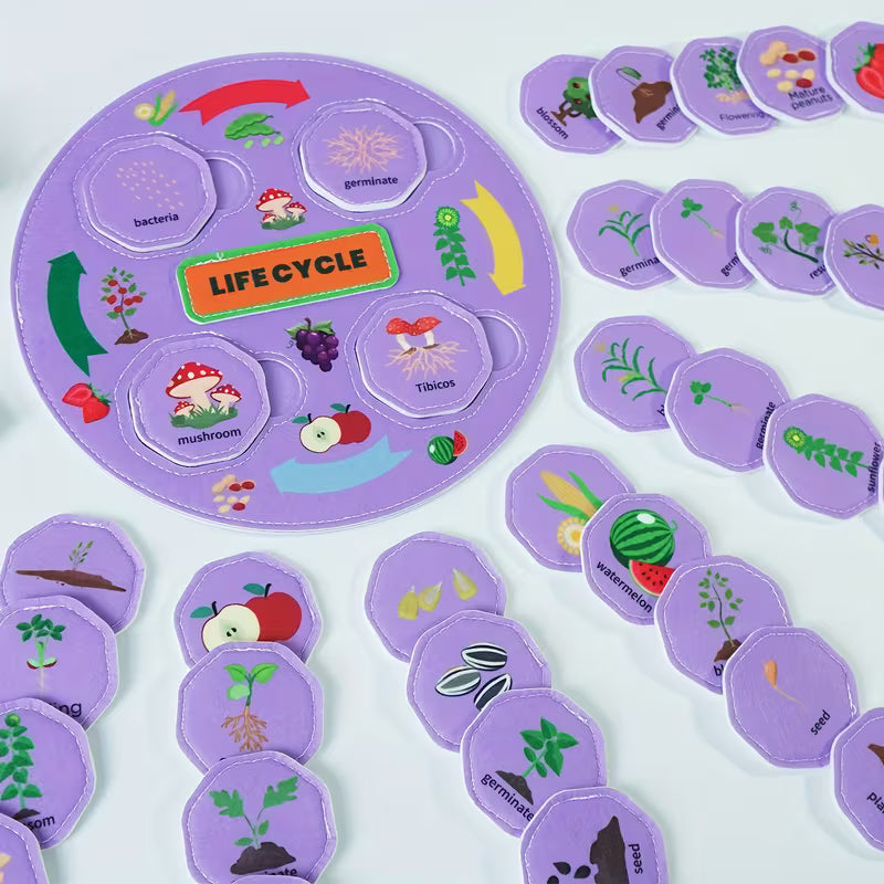 51-Piece Plant and Fruit Life Cycle Toy Set