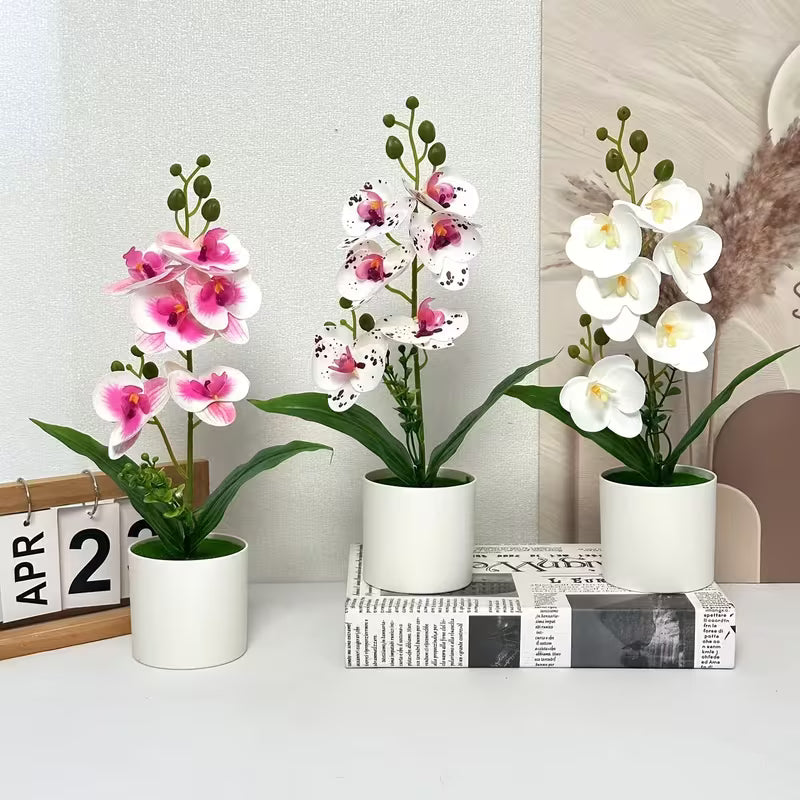 White Artificial Phalaenopsis Orchid Plant Set in White, White