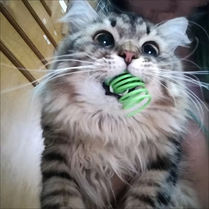 15/30/50-Piece Cat Toys Plastic