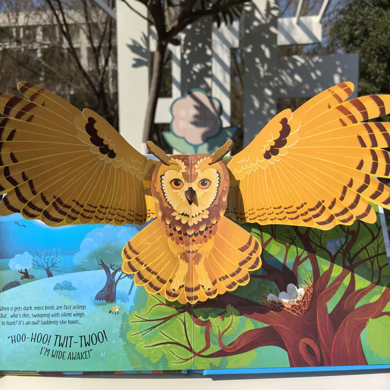Pop-up Birds Series Develops Imagination and Reading Ability