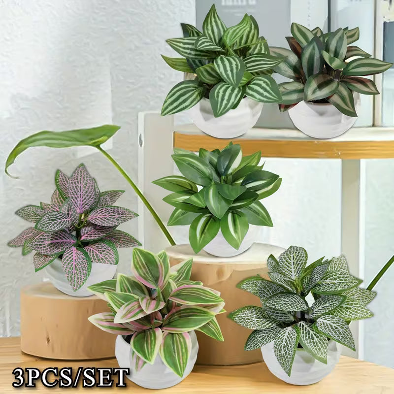3pcs Per Set Artificial Potted Plants Fake Leaf Fittonia, zebrina Leaf, Peperomia, zebrina