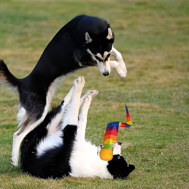 Meteor Ball Rainbow Tail Catch Ball