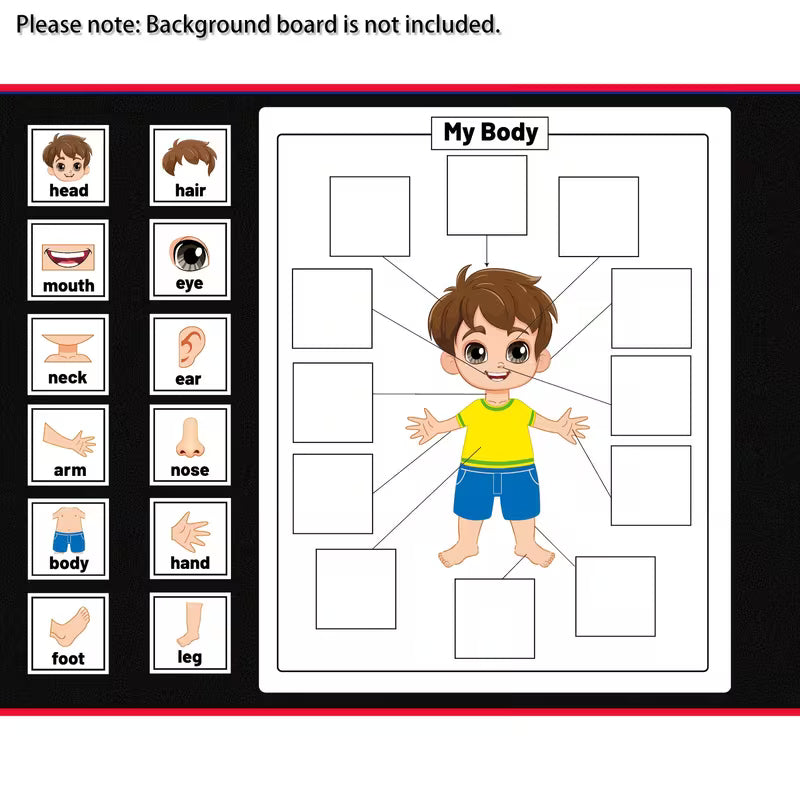 HOOJOJO Body Parts Recognition Felt Learning Set