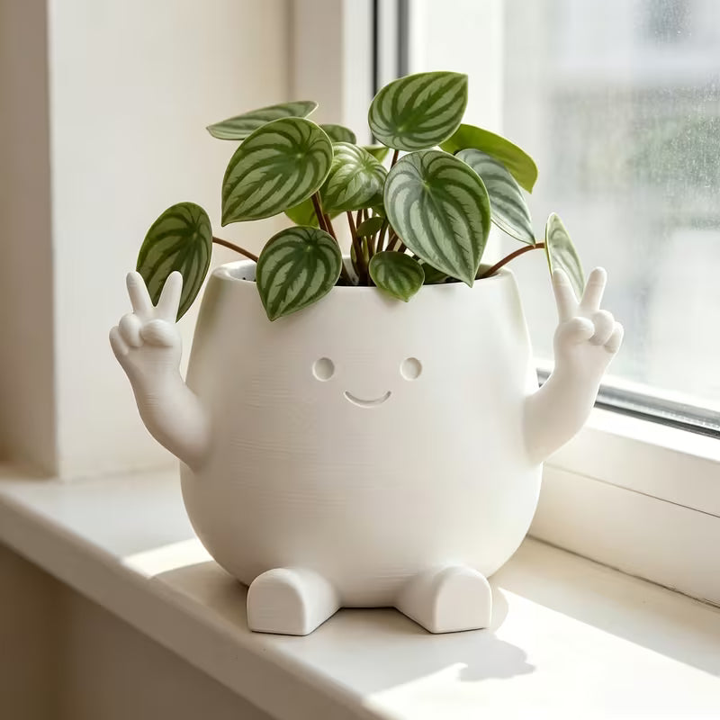 One 3D-printed Cartoon Character-shaped Planter, Made of High-quality Plastic with an Adorable