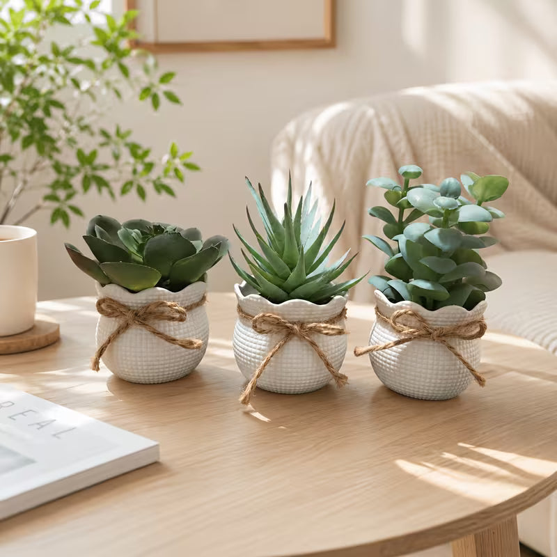 3pcs Mini Artificial Plant Bonsai Succulent Desktop Small Potted Plant, Suitable for Home