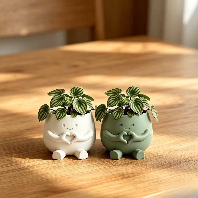 Cute Lucky Heart-Shaped Planter, Succulent and Pothos Flower Pot, Suitable for Desktop Art