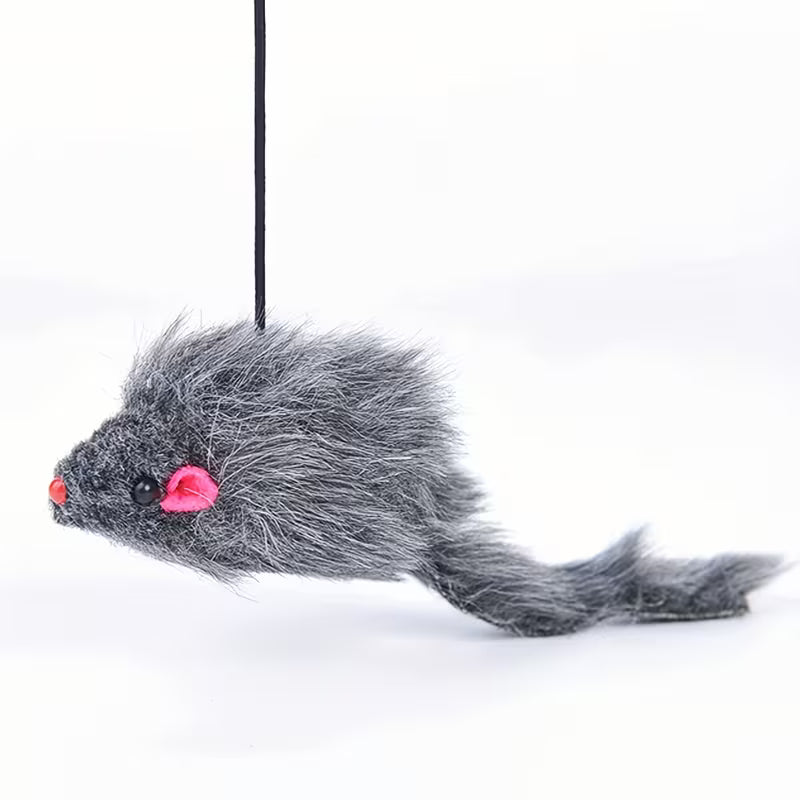 2-Piece Adjustable Hanging Cat Toy for Interactive Teasing and Playful