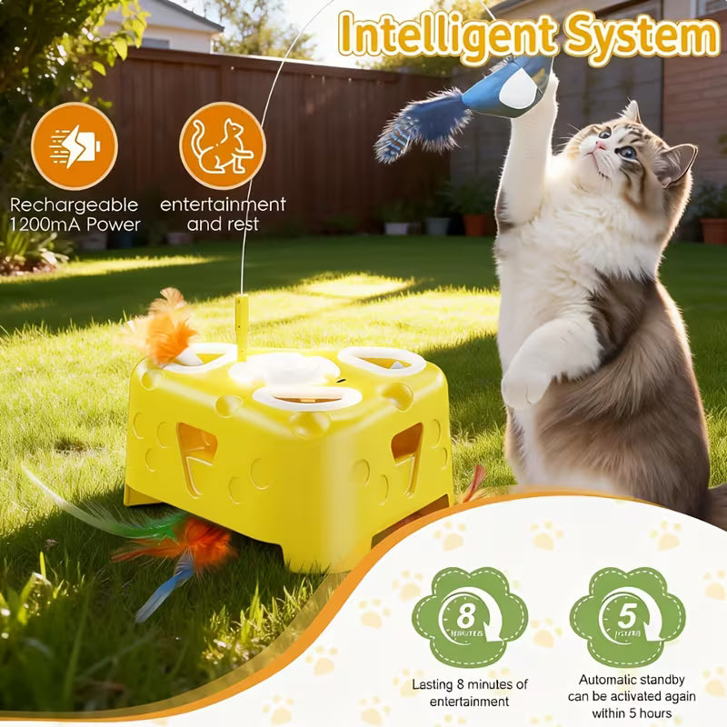 Interactive Cat Toy