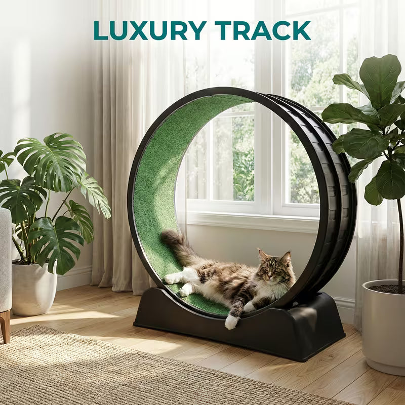 Indoor Cat Exercise Wheel - 31.5 Inches, Black