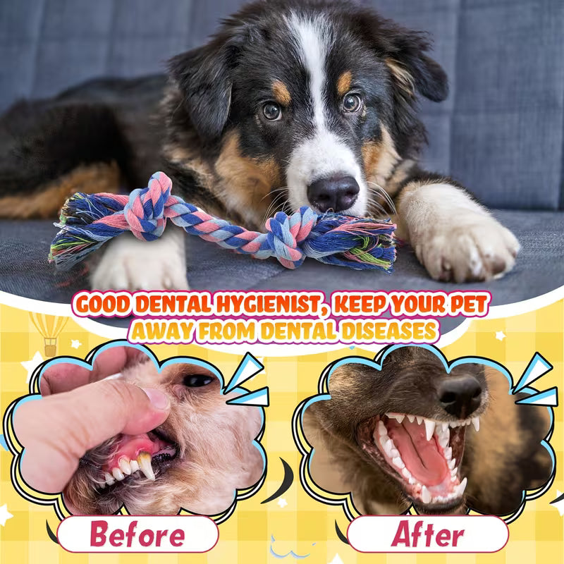 Knot Rope Dog Toys Multi Color Puppy Chew Toy Puppy Set