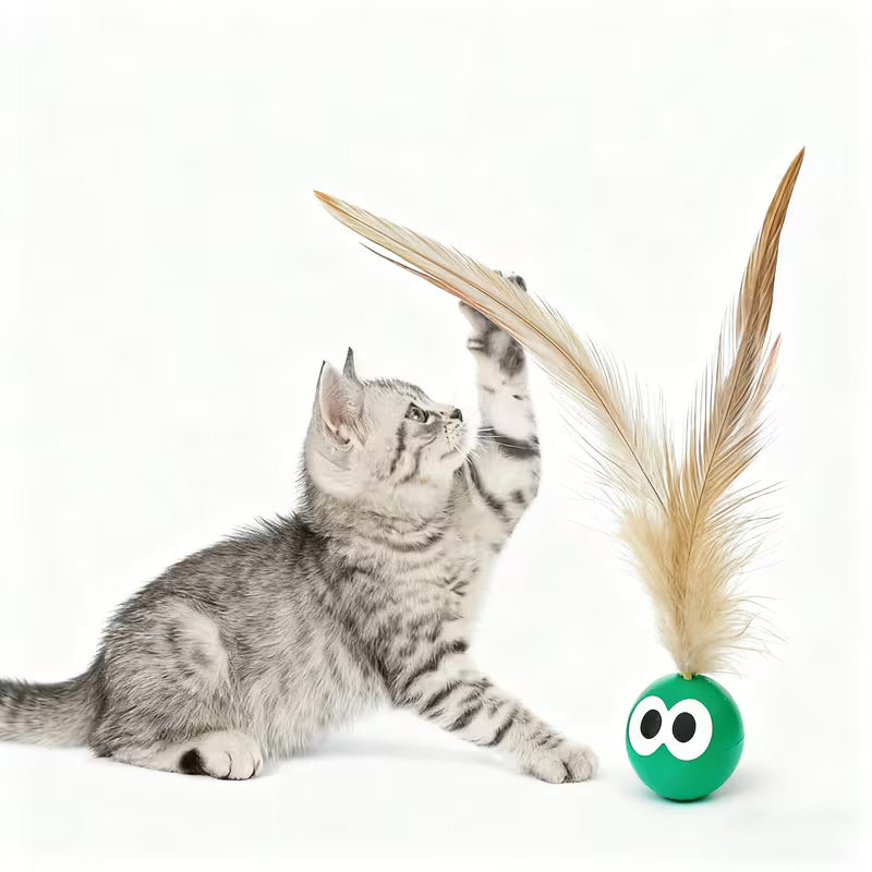 For Kittens & Indoor Cats - High-Bouncing Chase Set, Plastic
