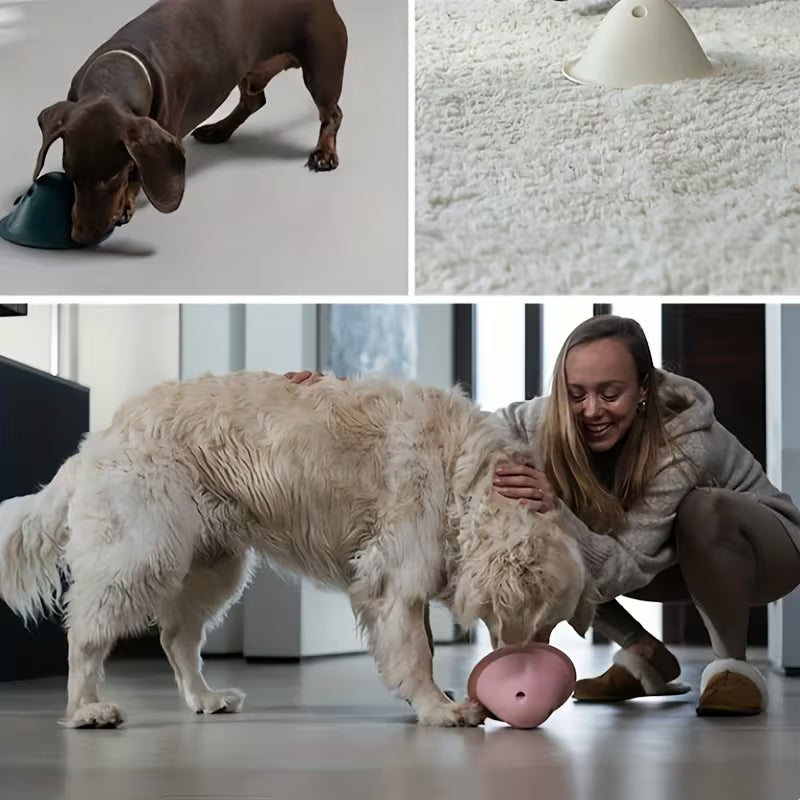 Dog Interactive Leak-Proof Food Slider Toy, Puzzle Passing
