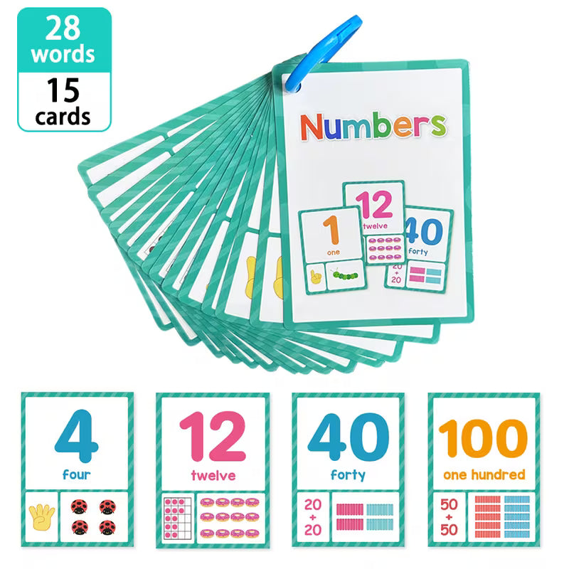 Numbers 1-100 Flash Cards Preschool Kindergarten Youngsters Learning
