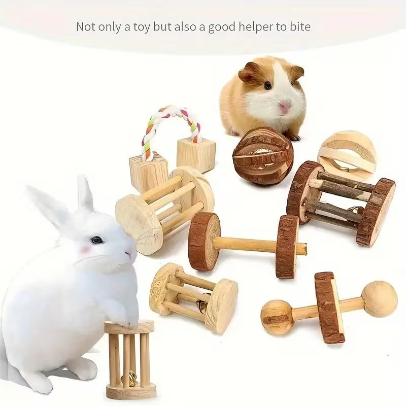 Set Small Pet Toys, Fun and Durable Wooden, Wooden