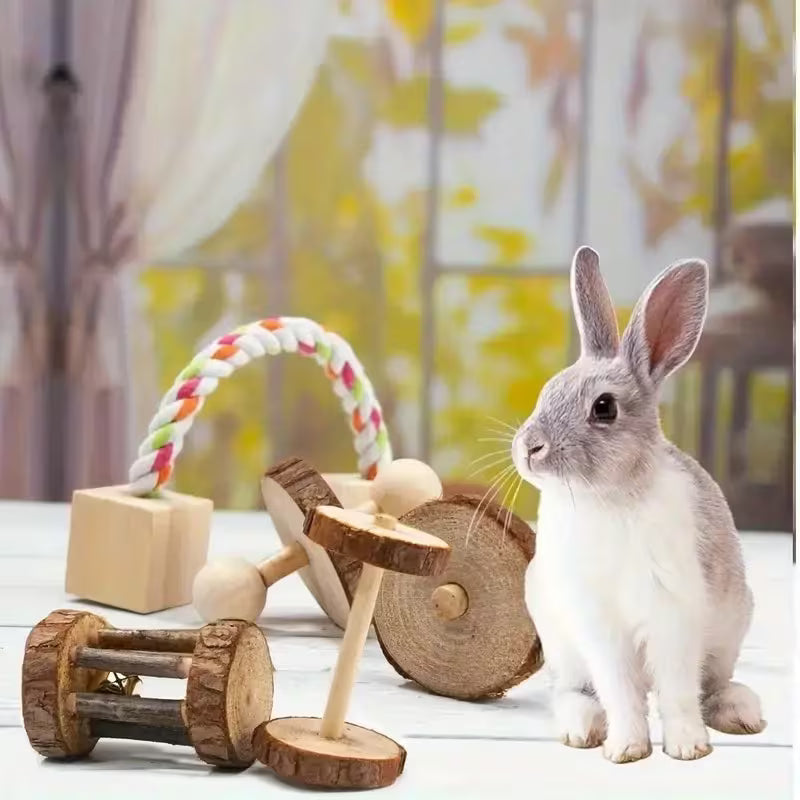 Set Small Pet Toys, Fun and Durable Wooden, Wooden