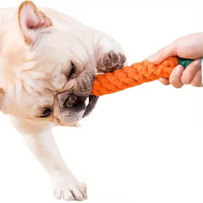 Interactive Dog Toy - Durable Carrot-Shaped