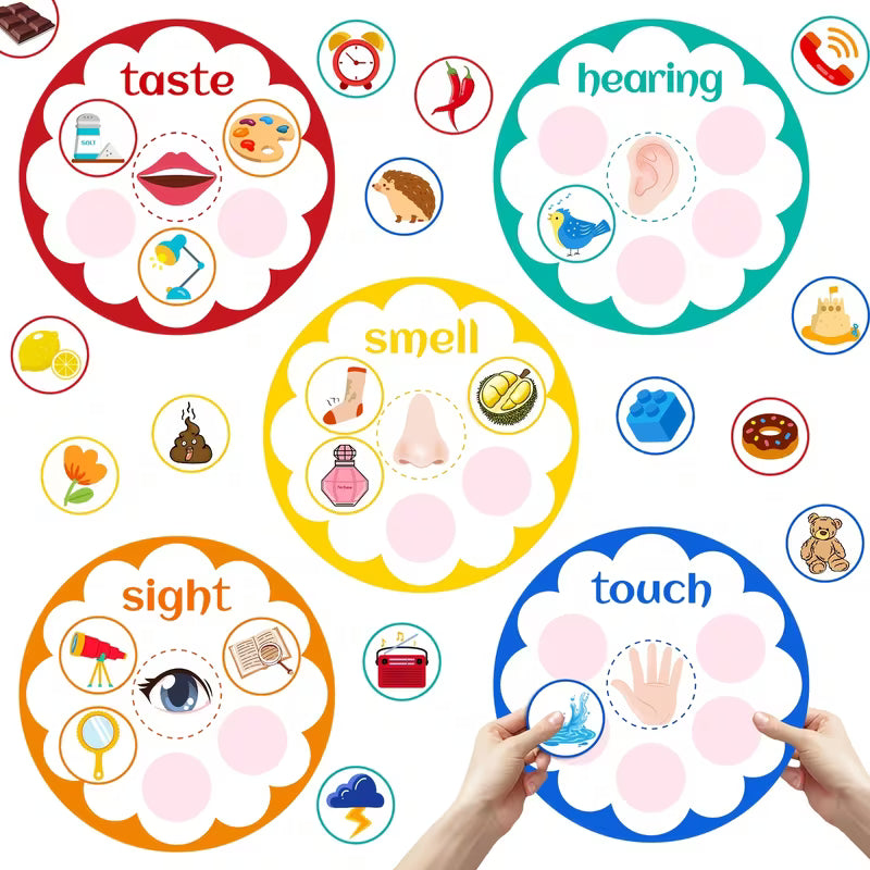 Sensory Recognition Felt Teaching Tools