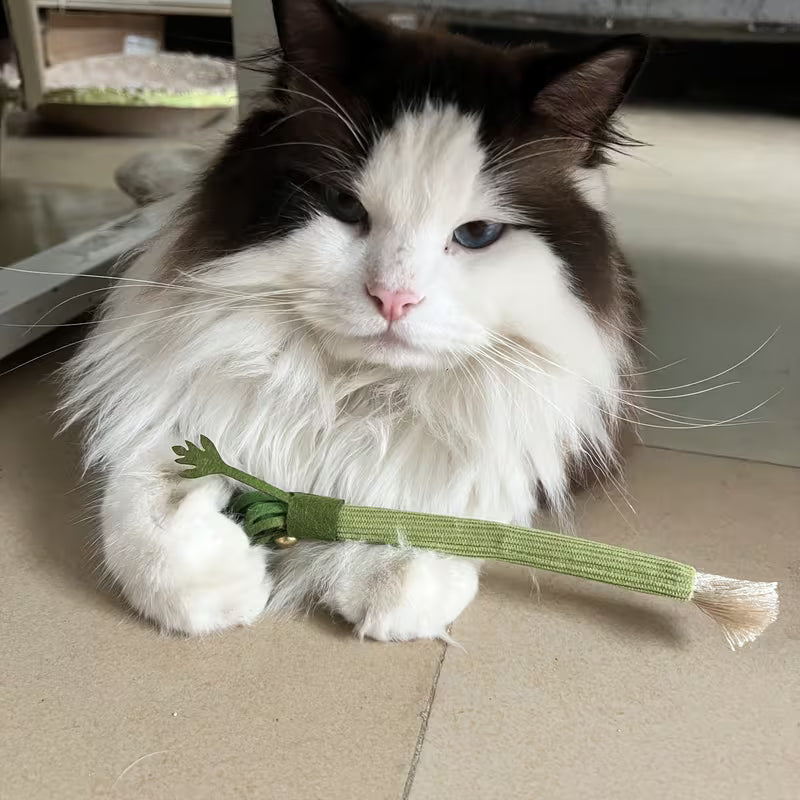 Simulation Celery Cat Toy
