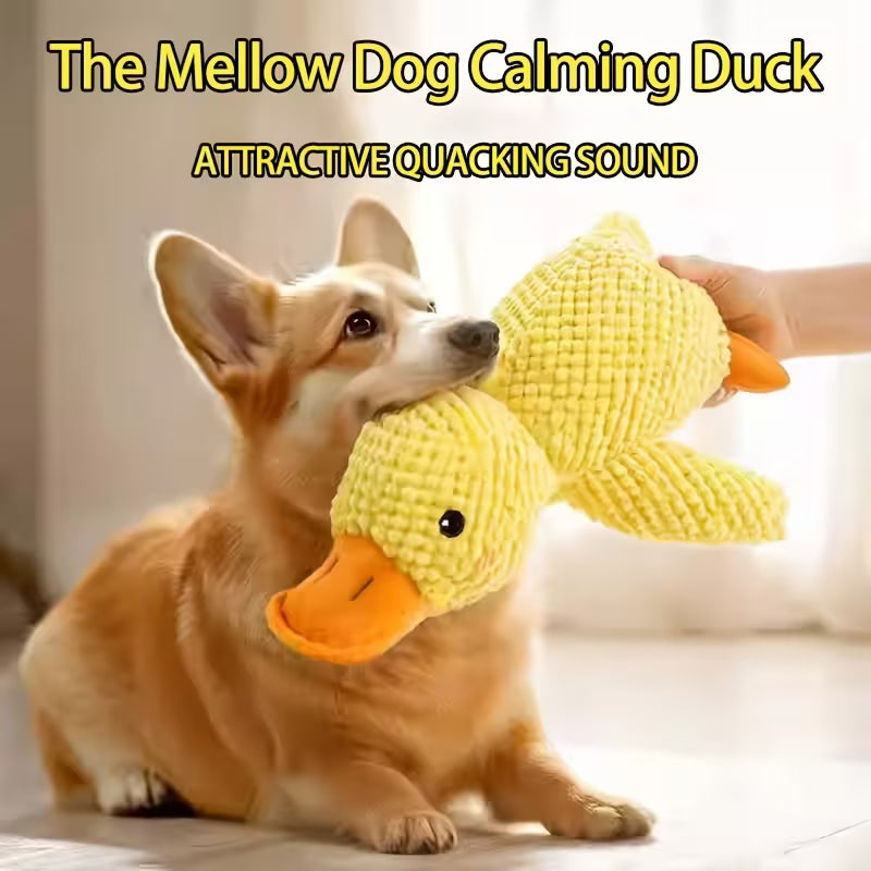 Plush Dog Toy in The Shape, Yellow