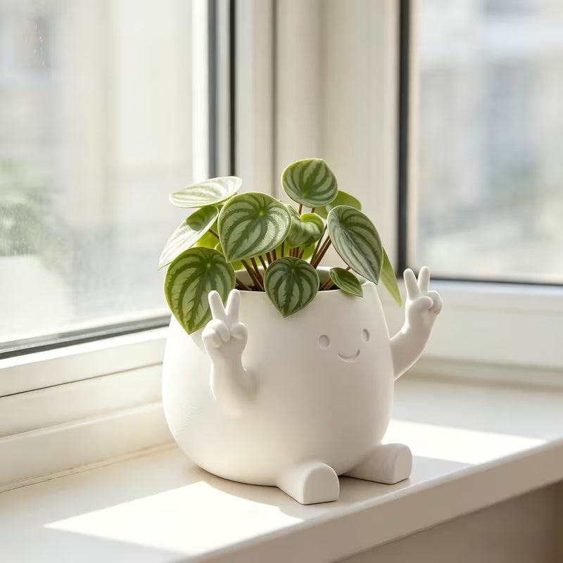 One 3D-printed Cartoon Character-shaped Planter, Made of High-quality, Plastic