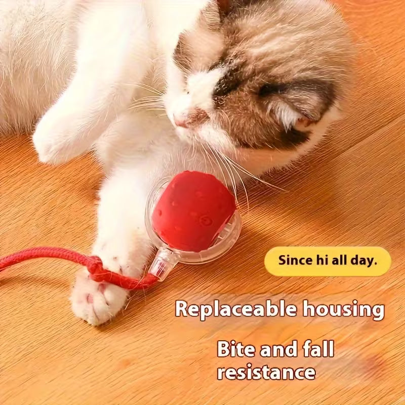 Interactive Cat And Dog Toys Balls, 2pcs Ropes Set