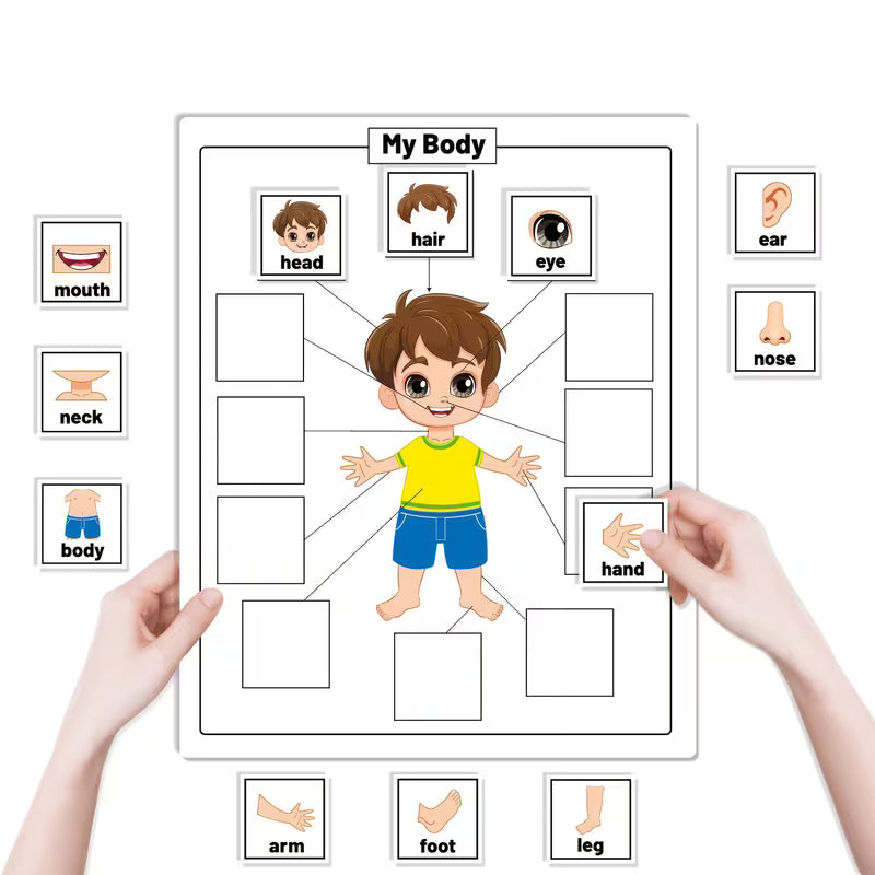 HOOJOJO Body Parts Recognition Felt Learning Set