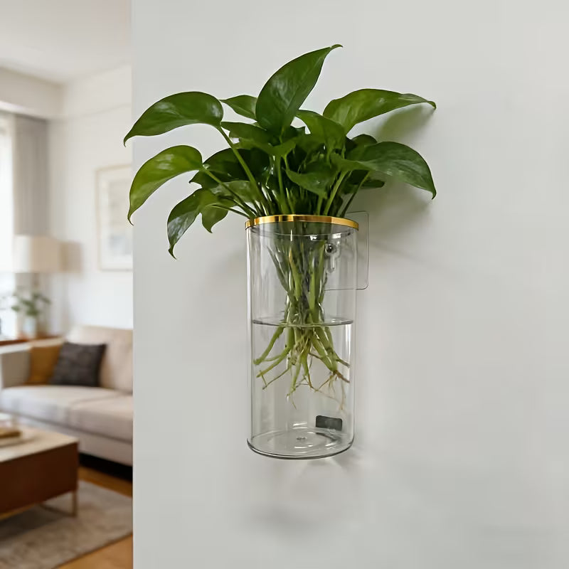 Multi-Size Transparent Cylindrical Planter, Upgrade Wall-Mounted Planter, Clear PET Vase