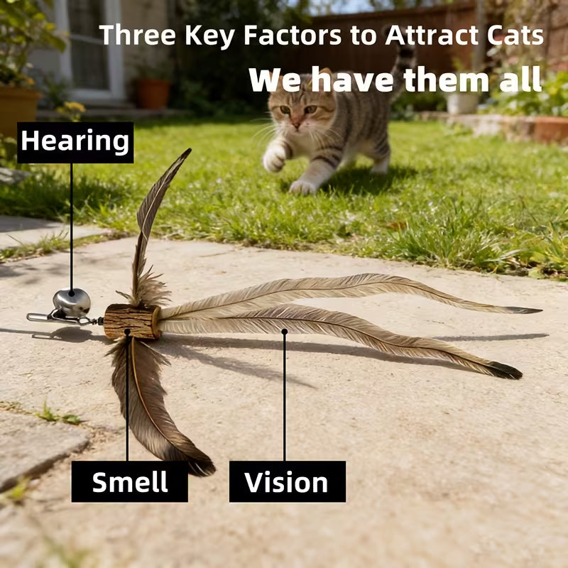 Cat Toy Refill Heads Variety Pack - Quick-Release Wind-Fluttering Attachments