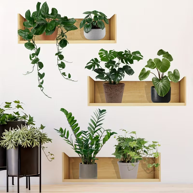 A Set of 3 Potted Plant Shelf Wall Decals for Living Room and Room Background Wall Decoration