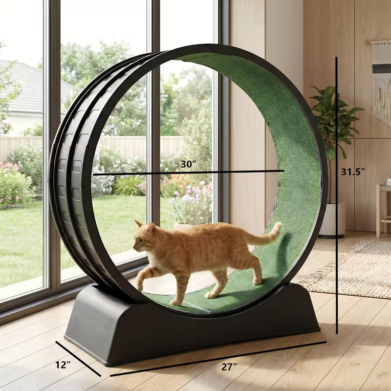 Indoor Cat Exercise Wheel - 31.5 Inches, Black