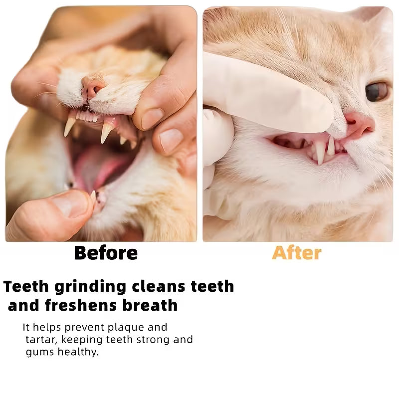 Pack Is Suitable for Pet Cats' Healthy Grinding Teeth Sticks. Set, Wooden