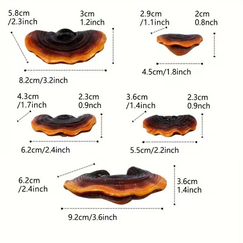 5pcs Lingzhi Pendant Shelf, Decorative Wall Hanging Resin Crafts