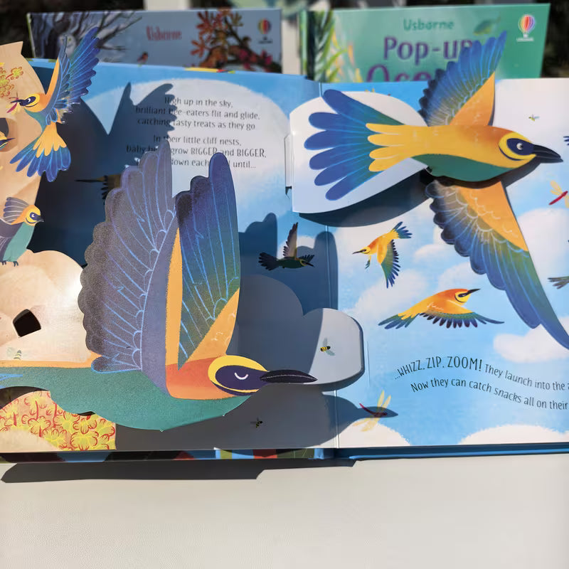 Pop-up Birds Series Develops Imagination and Reading Ability