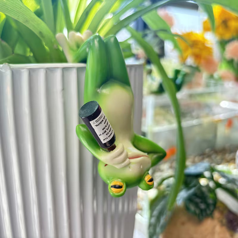 Creative Upside-Down Bottle-Holding Frog | Quirky And Cute Set