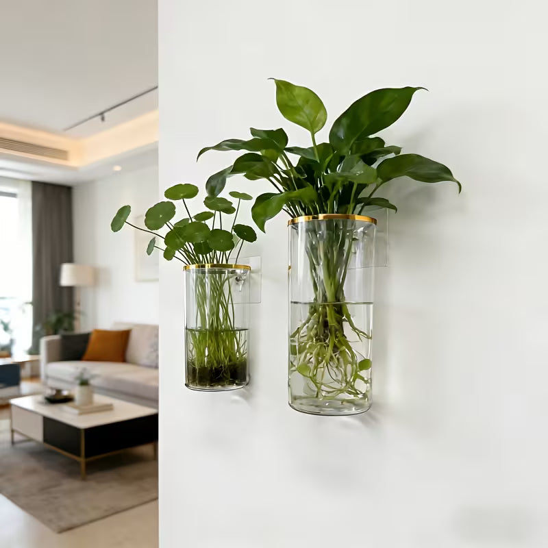 Multi-Size Transparent Cylindrical Planter, Upgrade Wall-Mounted Planter, Clear PET Vase