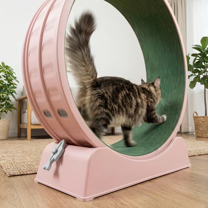 Large Cat Activity Wheel - 33 Inches - Quiet, Pink