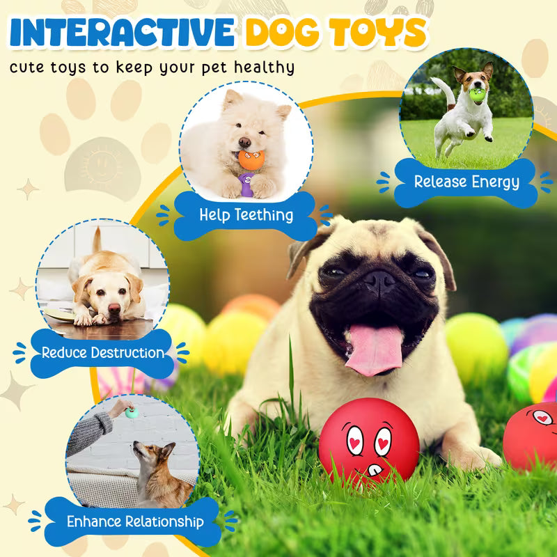 Bulk Squeaky Dog Toys Set