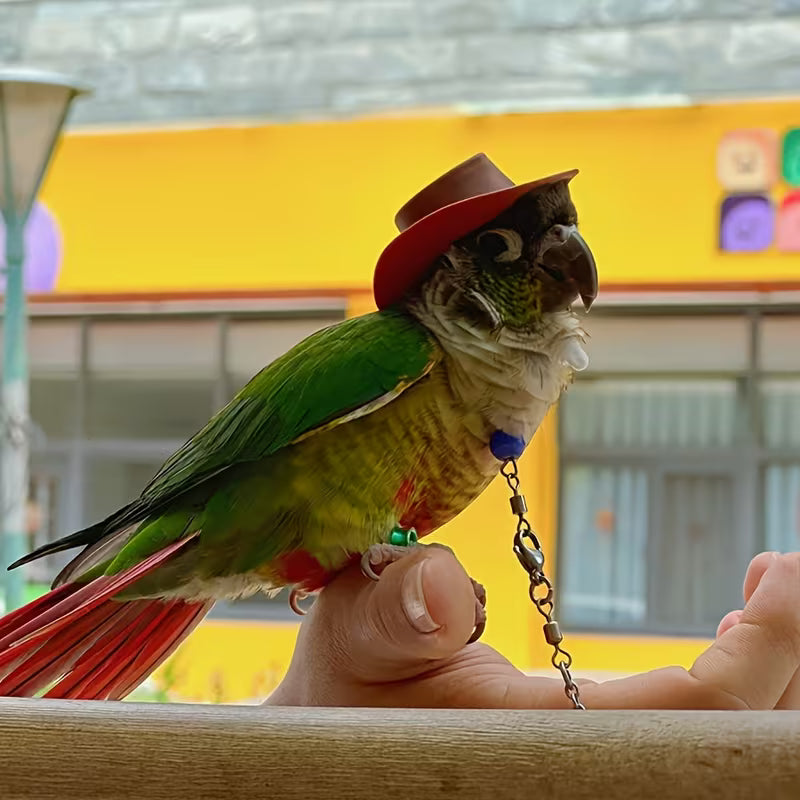 Parrot Toy Hat, Decorative Handmade Cowboy Hat, Bird Accessory, Photo