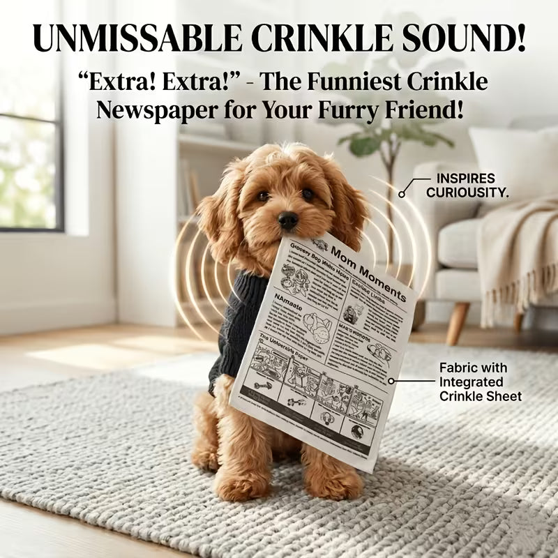 Fun Newspaper Toys