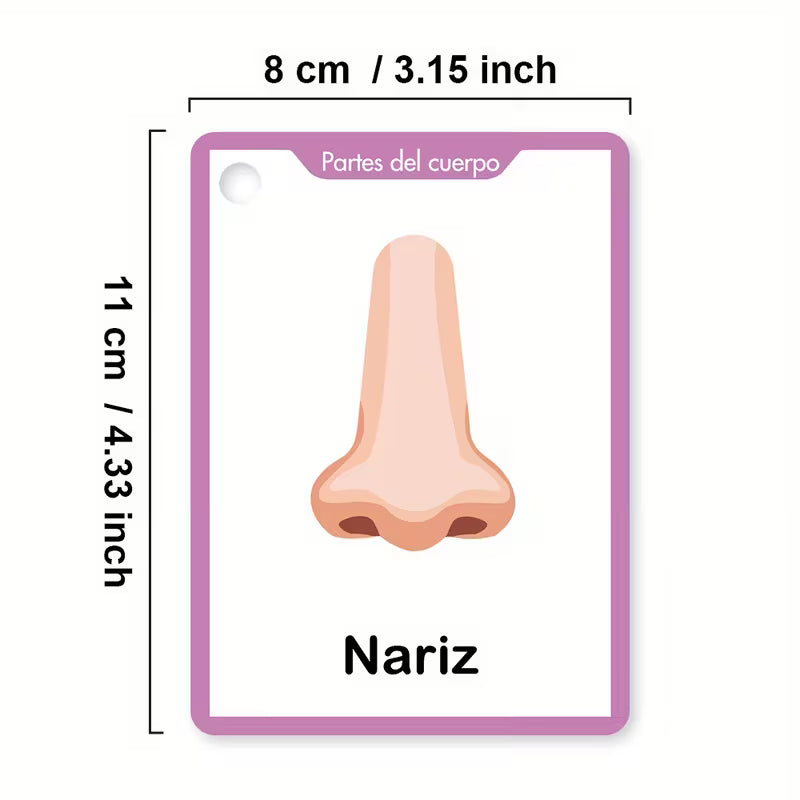 Spanish Body Parts Flash Cards for Kids